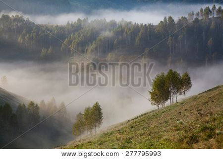 foggy summer landscape in the mountains, Salciua, Romania