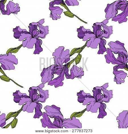 Vector Iris Floral Botanical Flower. Seamless Background Pattern. Fabric Wallpaper Print Texture.