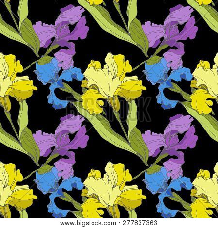 Vector Iris Floral Botanical Flower. Seamless Background Pattern. Fabric Wallpaper Print Texture.