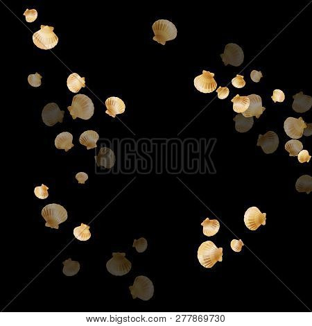 Gold Seashells Vector, Golden Pearl Bivalved Mollusks. Aquarium Scallop, Bivalve Pearl Shell, Marine
