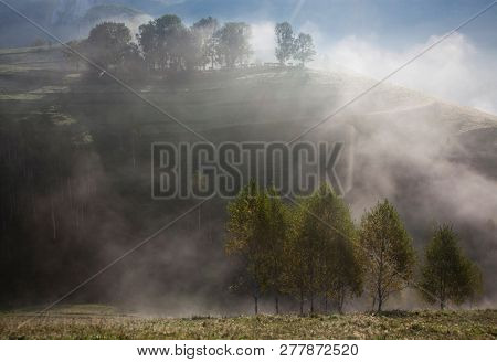 foggy summer landscape in the mountains, Salciua, Romania
