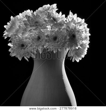 Bouquet Of Flowers In Vase Isolated On Black,  Chrysanthemums