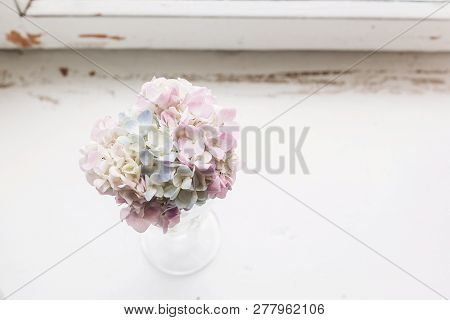 Beautiful Hydrangea Flowers In Vintage Glass With Water On Rustic White Wood Of Old Windowsill. Coun