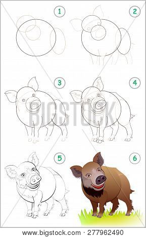 Page Shows How To Learn Step By Step To Draw A Cute Wild Boar. Back To School. Developing Children S