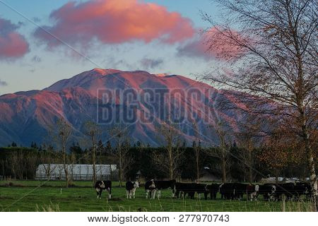 Mountain Landscape During Sunrise Near Methven In Canterbury, South Island, New Zealand