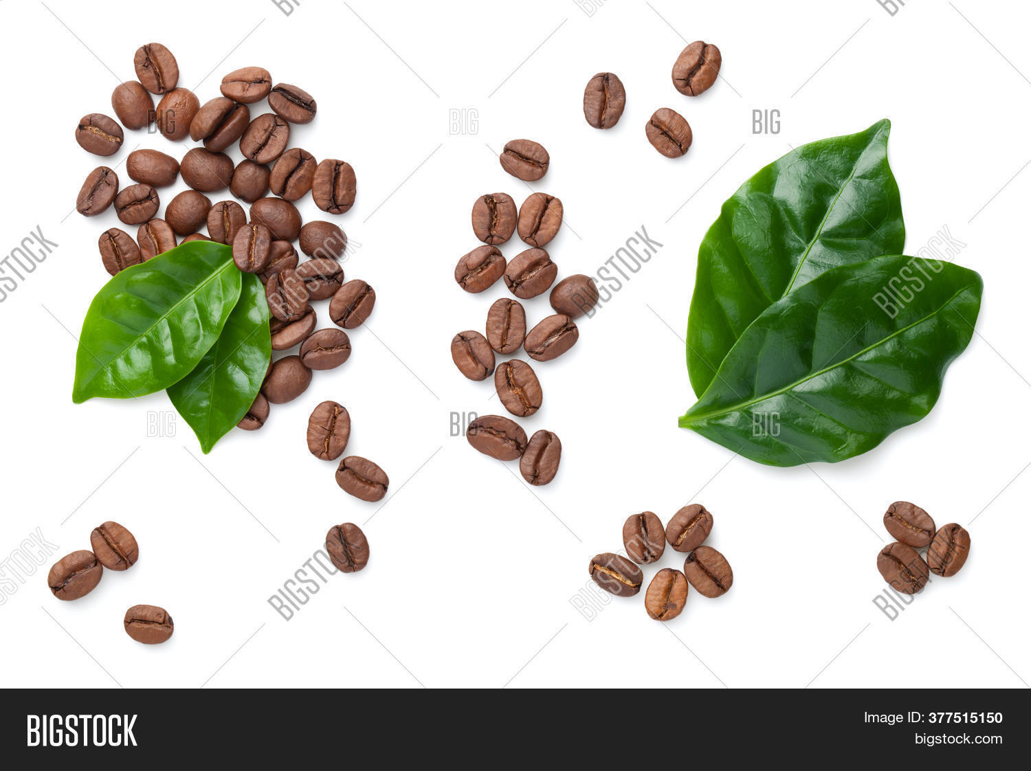 Coffee Beans Leaves Image & Photo (Free Trial) Bigstock