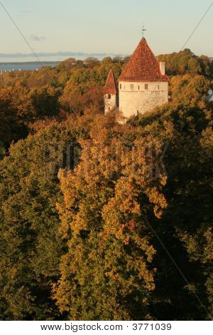Tallinn