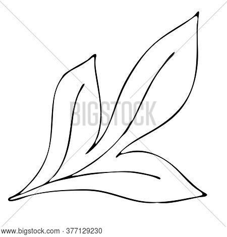 Autumn Leaf Freehand Vector Photo Free Trial Bigstock,Back View Anime Girl Walking Base