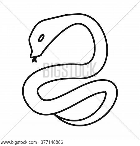 Isolated Object Of Python And Serpent Sign. Collection Of Python And Jungle Stock Symbol For Web.