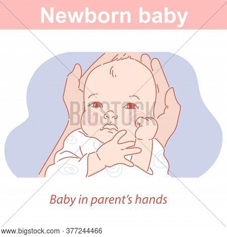 Newborn Baby In Doctors Or Parents Hands.