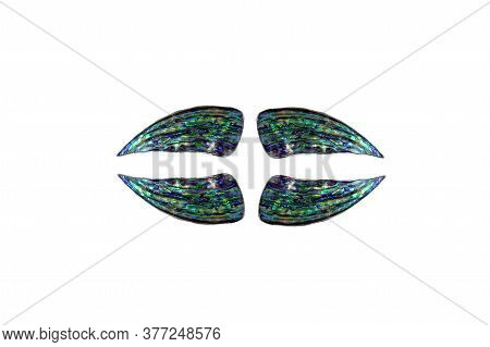 Blue Polished Surface Of Nacre Mollusk Shells Isolated On White Background. Four Slices Of Polished 