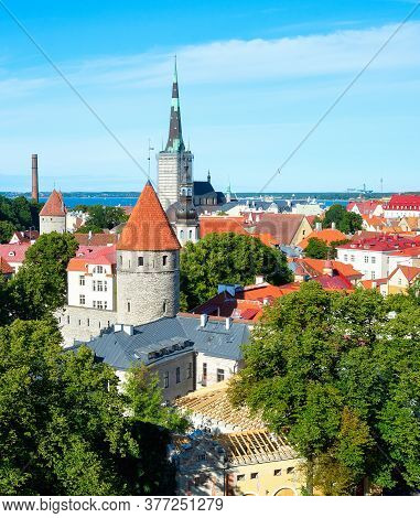Aerial Cityscape Of Talin Old Town With Medivel Architecture In Green Trees, Gulf Of Tallinn In Brig