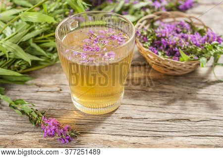 Fireweed Is A Healthy Herbal Tea. Mug Of Traditional Russian Drink Ivan Tea On A Wooden Background W