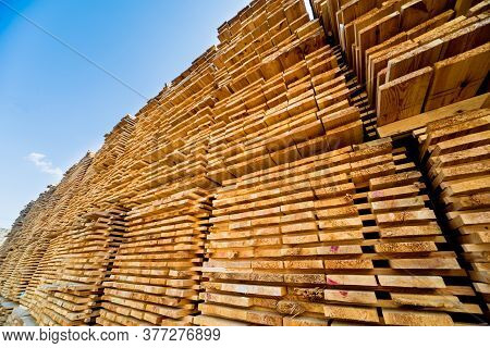 Lumber Ready For Loading Into A Dry Kiln. Wood Drying In Containers