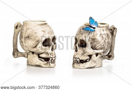 Two Skulls On A White Background With A Butterfly