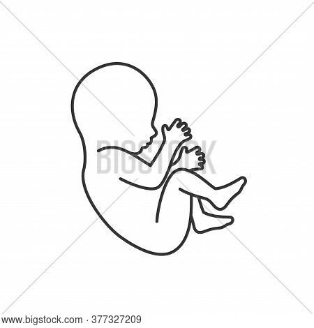 Fetus Images, Illustrations &amp; Vectors (Free) - Bigstock