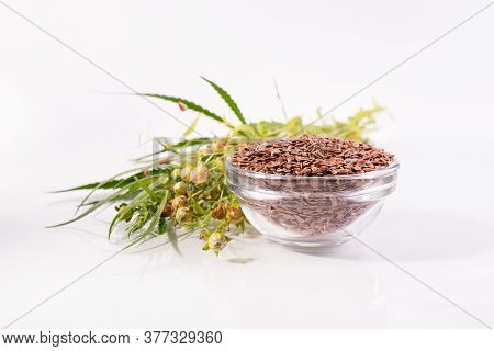 Close Up Flax Seeds In A Glass Bowl. Composition With , Flax Seeds, And Plants On White Background. 