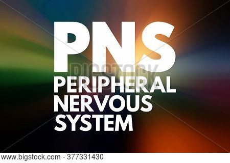 Pns - Peripheral Nervous System Acronym, Medical Concept Background