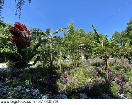 Meeting Point Blumi Or Treffpunkt Blumi (flower Island Mainau On The Lake Constance Or Die Blumenins
