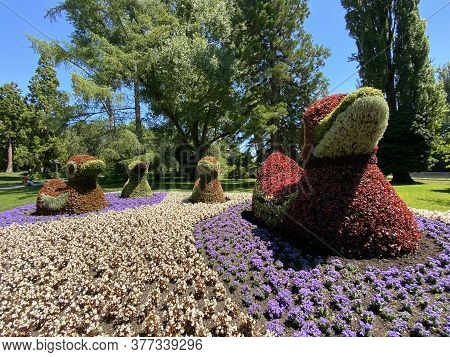 Floral Sculptures Of Birds Or Blumenfiguren Von Vögeln (flower Island Mainau On The Lake Constance O