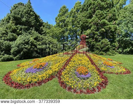 Floral Sculptures Of Birds Or Blumenfiguren Von Vögeln (flower Island Mainau On The Lake Constance O