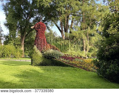 Floral Sculptures Of Birds Or Blumenfiguren Von Vögeln (flower Island Mainau On The Lake Constance O