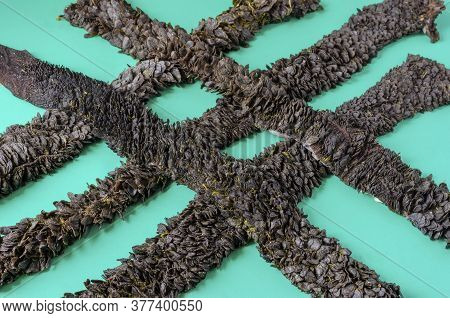 Strips Of Raw Cow Stomach On Turquoise. Long Stripes Black Unpeeled Tripe With Grass Residues. Beef 