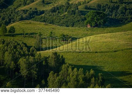Old Barn House On Top Of A Hill Under Some Big Trees In Dumesti, Salciua, Alba County, Romania