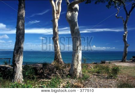Gomas de Noosa