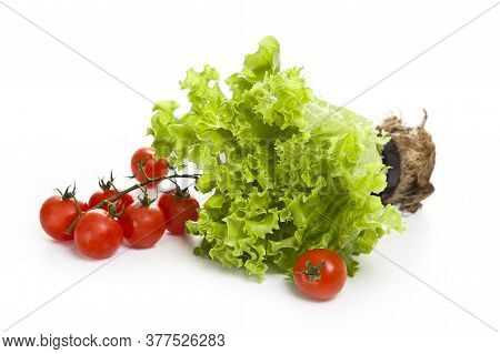 Cherry Tomatoes And Lettuce Plant On A White Background