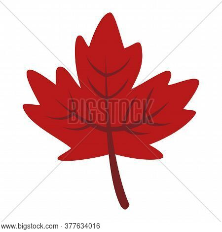 Red Maple Leaf Icon. Canadian Symbol - Vector Illustration