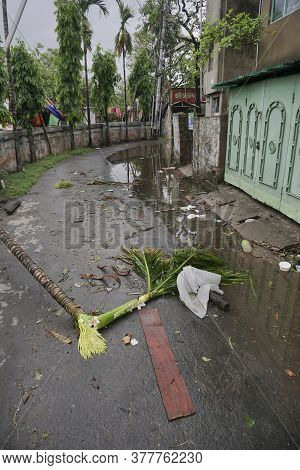 Howrah, West Bengal, India - 21st May 2020 : Super Cyclone Amphan Broke A Roadside Tree Which Fell A