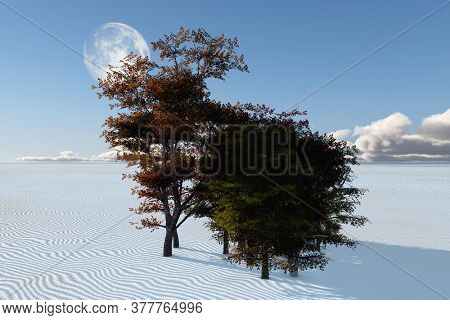 Inexplicable trees in desert. 3D rendering