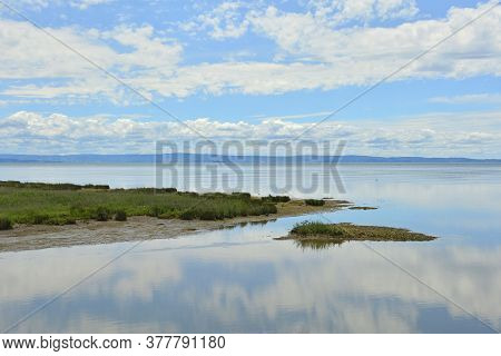 The Wetlands Of Isola Della Cona In Friuli-venezia Giulia, North East Italy