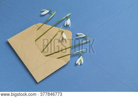 Fresh Beautiful Snowdrops Flowers In Envelope Isolated On Blue Background. Invitation On Wedding Or 