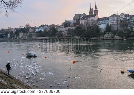 A Man Standing On The Bank Of The Rhine And Feeding Birds, Basler Munster Cathedral In Background, S