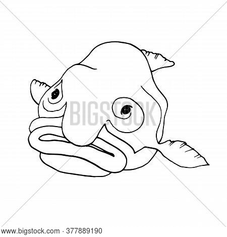 Blobfish, Funny Deep-sea Fish. Vector Illustration In Doodle Style.