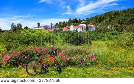 Red bike in front of wild flowers in Mackinac  island, Michigan in summer time.