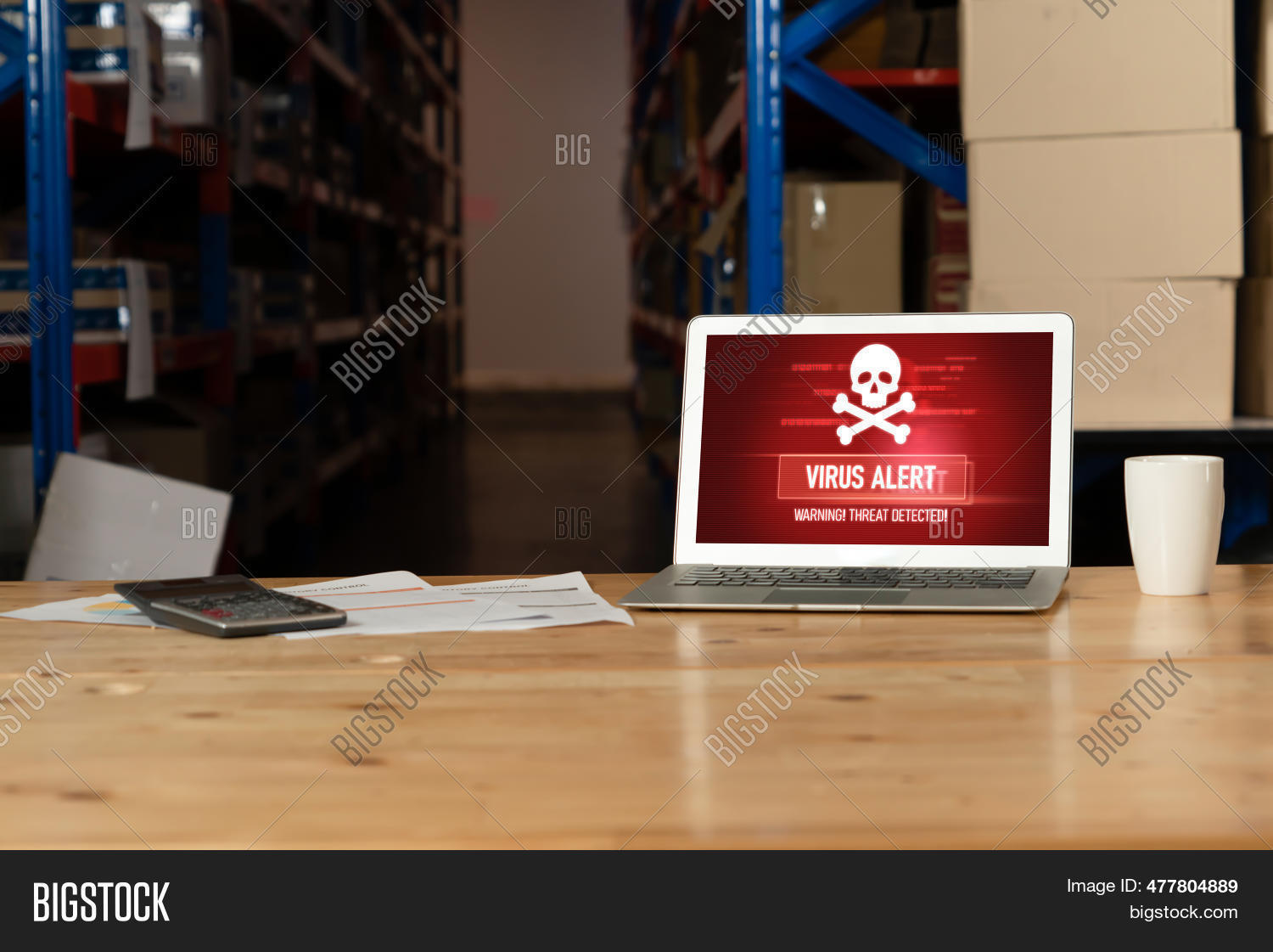 Image Preview