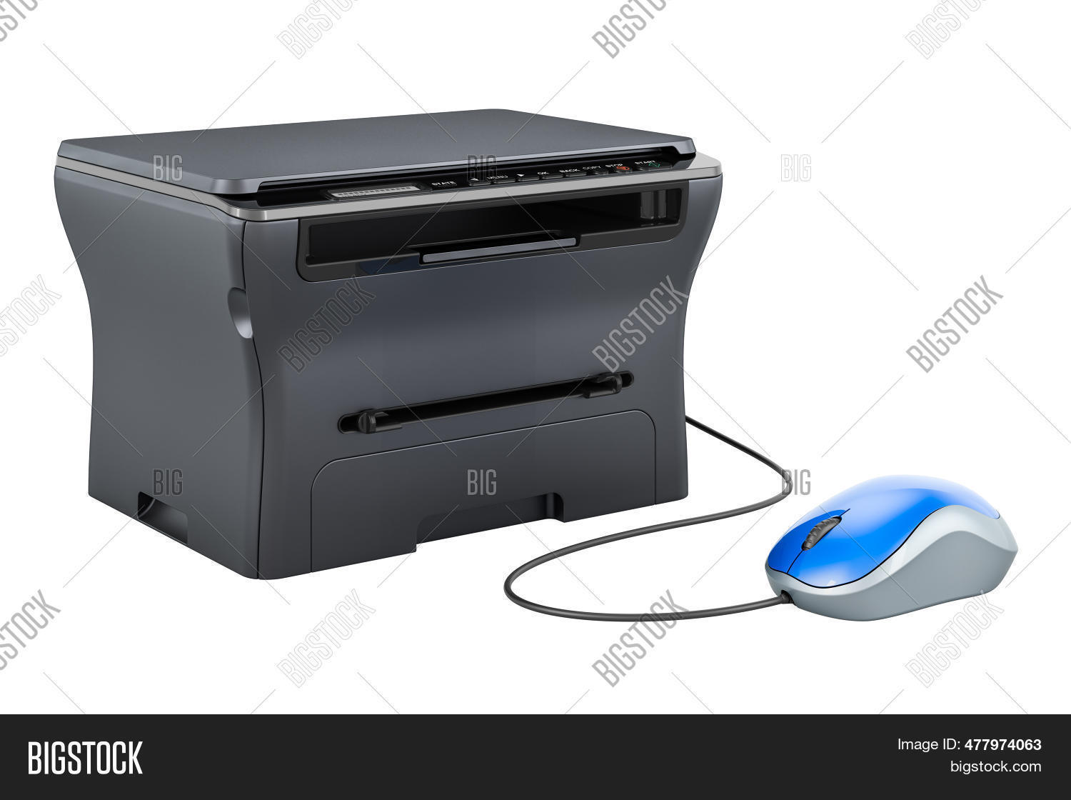 Image Preview
