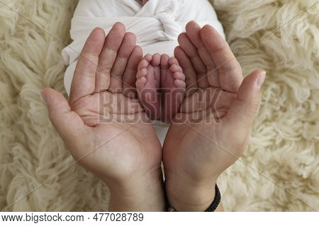 Feet Of The Newborn On The Palms Of The Parents. The Palms Of The Father And Mother Are Holding The 