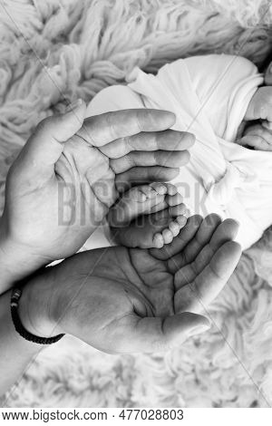 Feet Of The Newborn On The Palms Of The Parents. The Palms Of The Father And Mother Are Holding The 