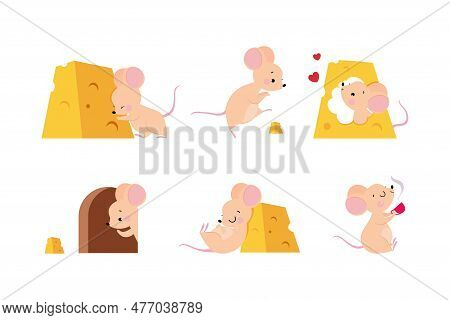 Cute Mouse With Pointed Snout And Rounded Ears Vector Set