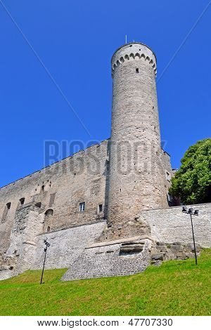 Toompea Tower