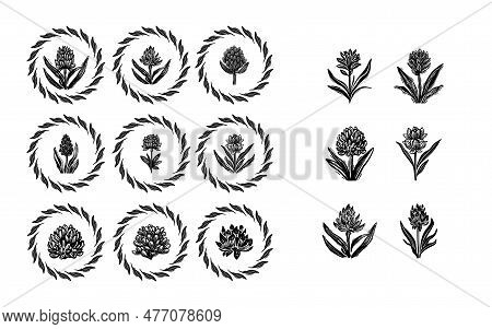 Linotype Floral Icon Collection In Whimsical Vector Art. Decorative Foliate Design For Rustic Botany