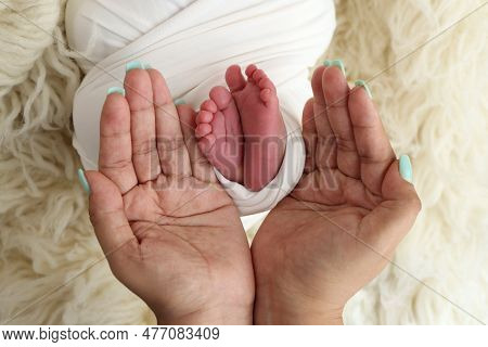 Feet Of The Newborn On The Palms Of The Parents. The Palms Of The Father And Mother Are Holding The 