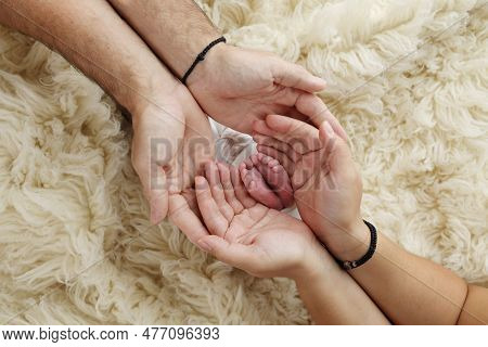 Feet Of The Newborn On The Palms Of The Parents. The Palms Of The Father And Mother Are Holding The 