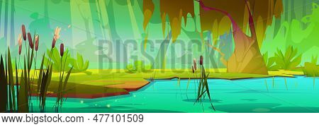 Green Summer Forest Lake With Cane And Willow Tree. Vector Cartoon Illustration Of Sunlit Green Park
