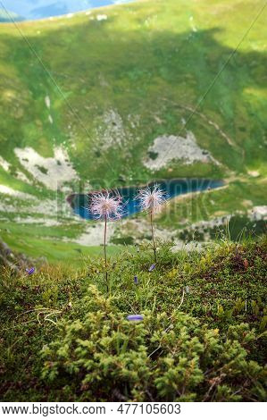 View Of Mountain Lake Brebeneskul. The Highest Mountain Lake In Ukraine. Top View.