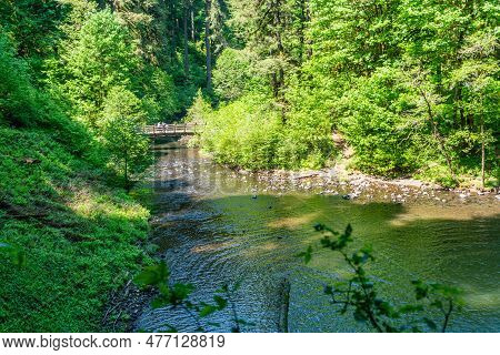 A View Of A Walking Bridge Below South Falls At Silver Fals State Park I N Oregon State.